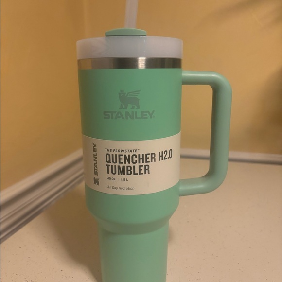Stanley Quencher H2.0 Tumbler - Light Green - Picture 1 of 2